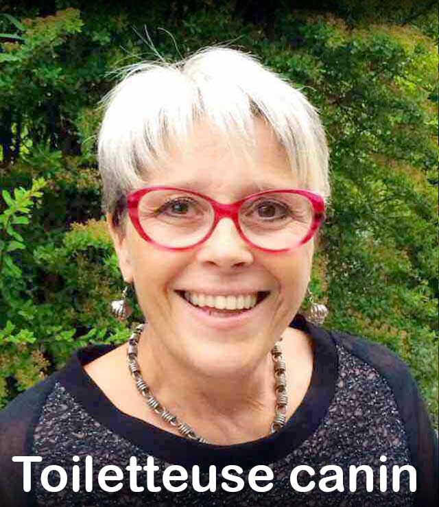 Mylaine Mathern, Toilettage canin à domicile